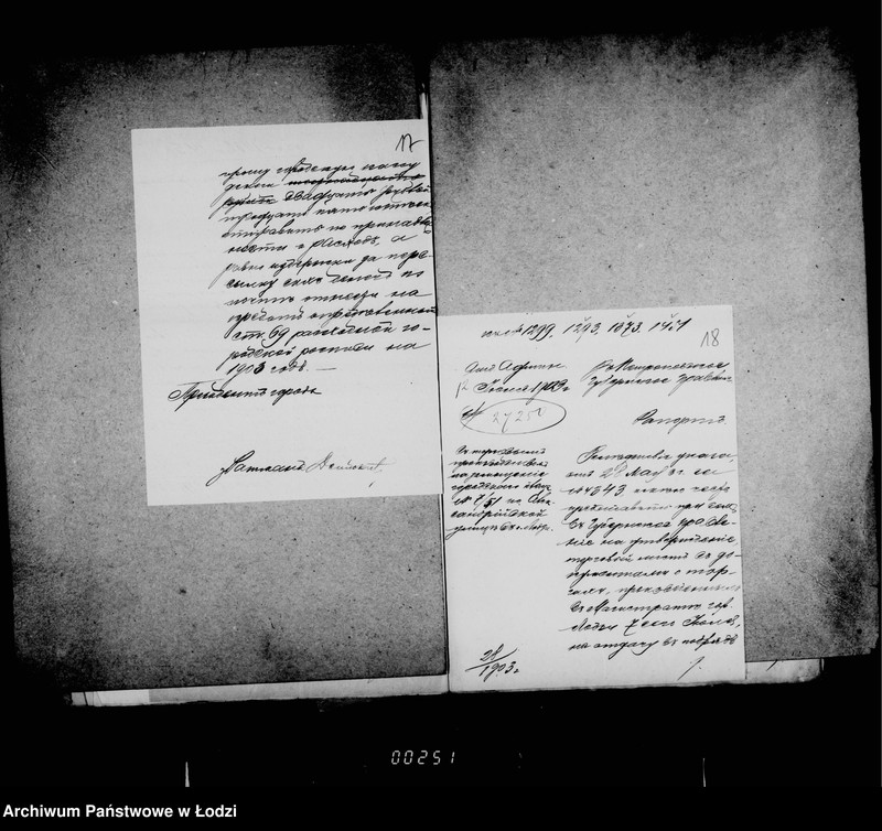 Obraz 15 z jednostki "O zamoščenji gorodskago placa nr 51/7 po Aleksandrijskoj ulice"