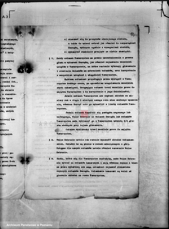 Obraz 18 z jednostki "/Towarzystwo Ornitologiczne w Poznaniu/"