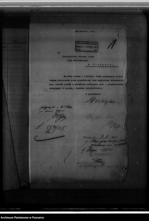 Obraz 5 z jednostki "Majętność leśna Więckowice powiat poznański"