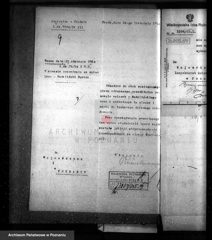 Obraz 13 z jednostki "Nadzór nad gospodarką w lasach majętności Dębicz powiat średzki"