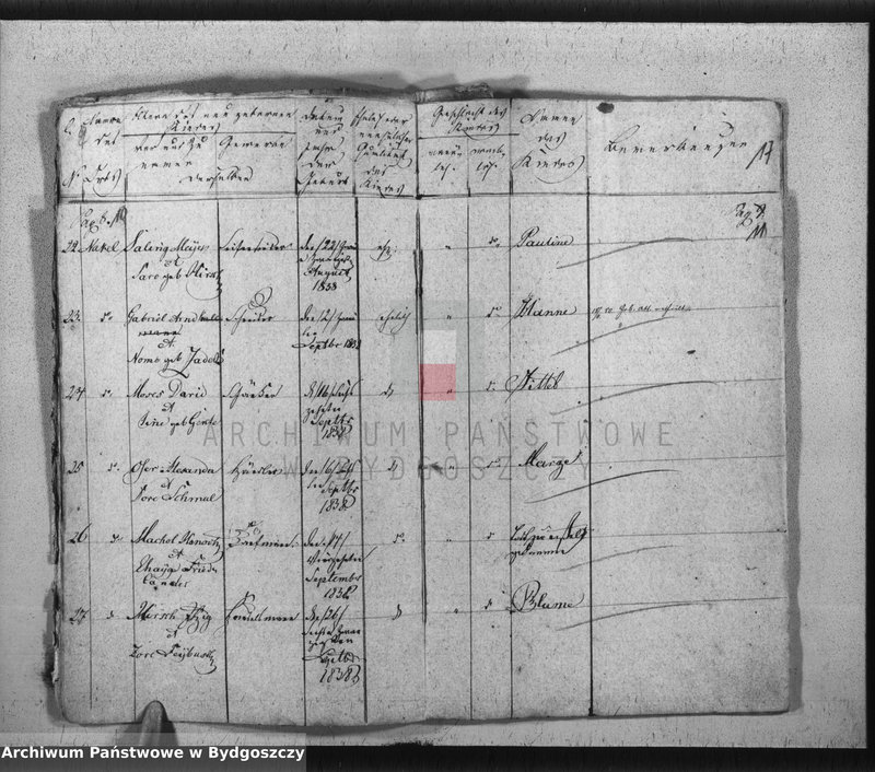 image.from.unit.number "Akta urodzeń, ślubów, zgonów, rozwody"