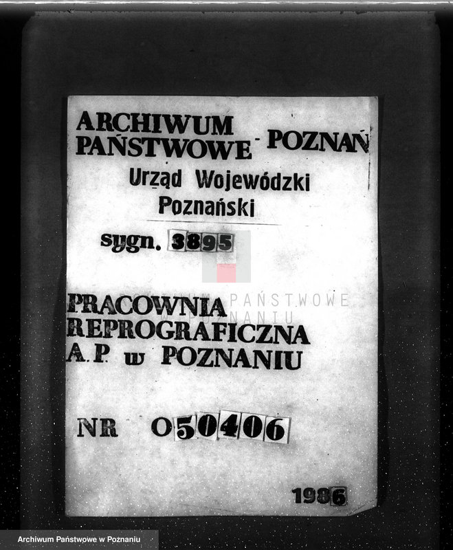 Obraz 10 z jednostki "Program gospodarczy dla lasu Adolfa Witta w gminie Jasionna powiat szamotulski"