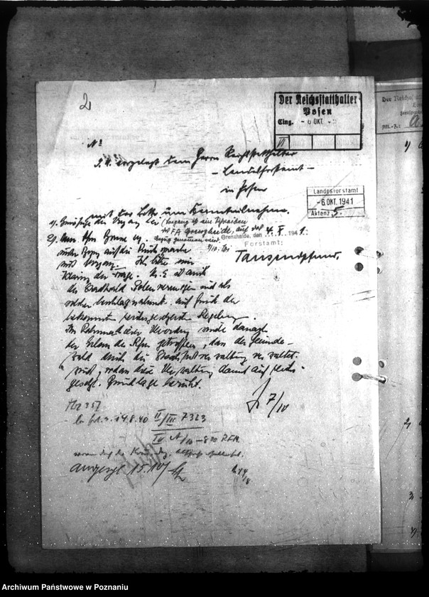 Obraz 6 z jednostki "Zarządzanie i gospodarowanie lasami gminnymi"