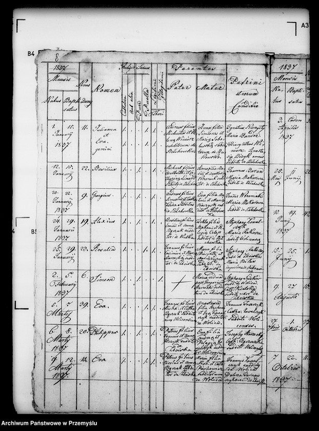 Obraz 12 z jednostki "[Kopie ksiąg metrykalnych parafii Wolica z filiami Bełchówka, Zboiska (dekanat Buków)]"