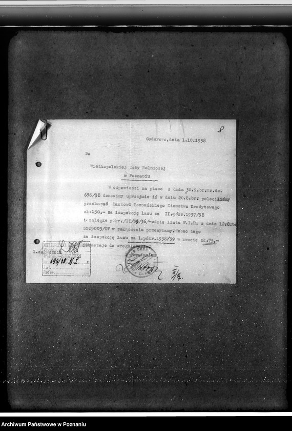 Obraz 12 z jednostki "Majętność leśna Godurowo w powiecie gostyńskim"