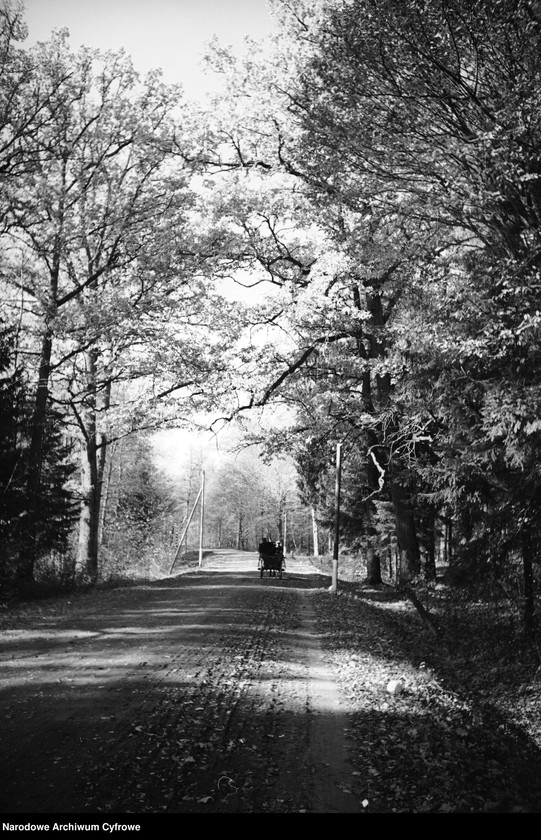 image.from.unit.number "Białowieża"