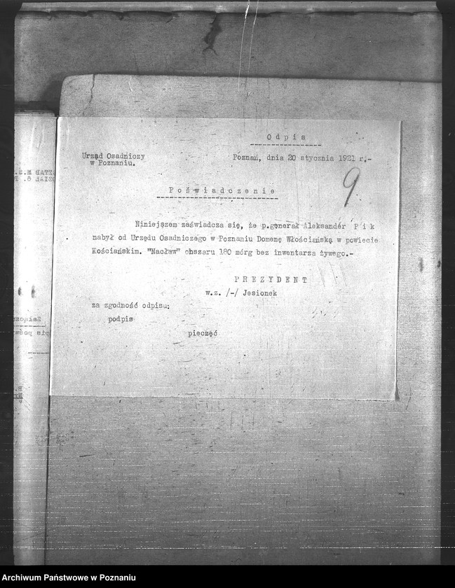 Obraz 13 z jednostki "Konie"