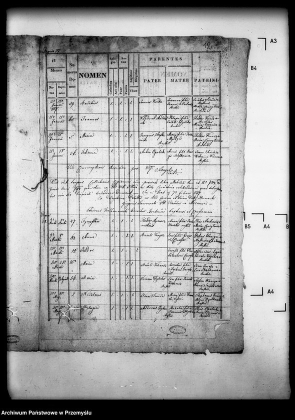 Obraz 16 z jednostki "[Kopie ksiąg metrykalnych parafii Grab z filiami Ożenna, Wyszowatka (dekanat Dukla)]"