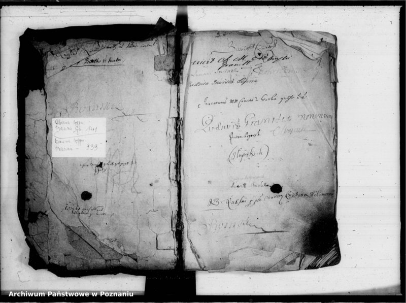 Obraz 3 z jednostki "Inscriptiones, relationes [inducta]"