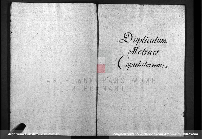 image.from.unit.number "Duplicatum baptisatorum, copulatorum, mortuorum"