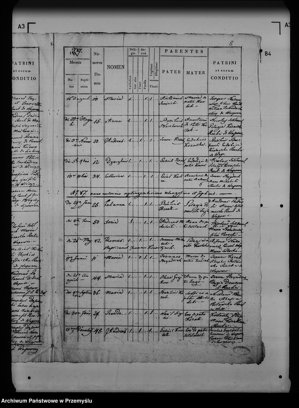 image.from.unit.number "[Kopie ksiąg metrykalnych parafii Wapowce z filiami Bełwin, Kuńkowce, Łętownia (dekanat Przemyśl)]"