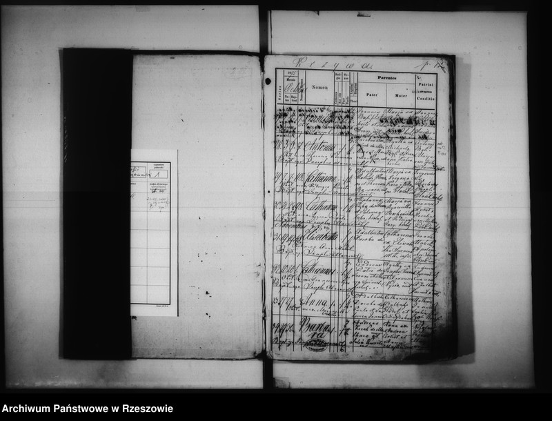 image.from.unit "Księga urodzeń - Krzywa"