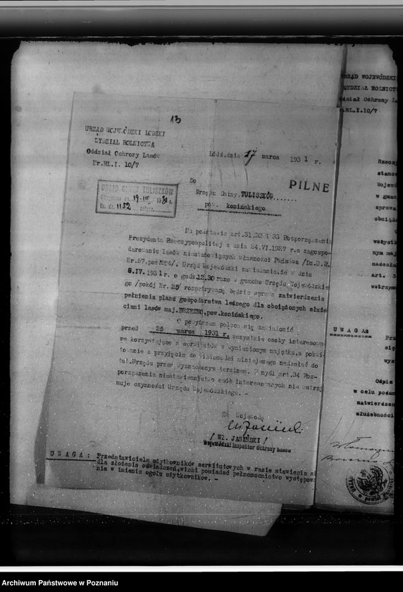 Obraz 17 z jednostki "Lasy majątku Brzeźno powiat koniński"