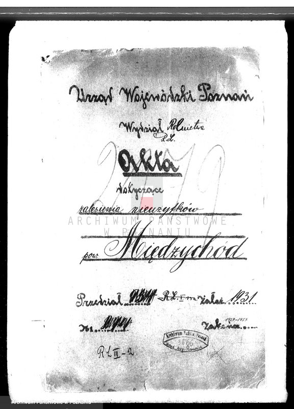 Obraz 4 z jednostki "Zalesienie nieużytków w powiecie międzychodzkim"