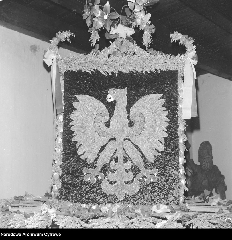 image.from.unit.number "Muzeum Ziemi Zamojskiej"