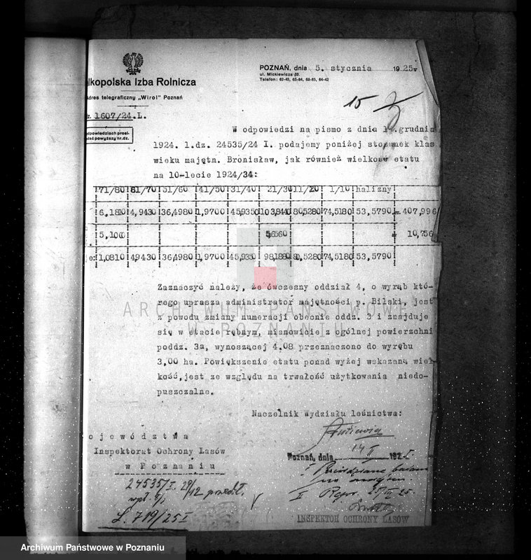 Obraz 19 z jednostki "Nadzór nad gospodarką w lasach majętności Bronisław"