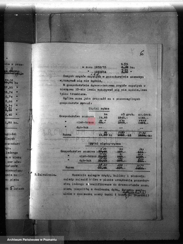 Obraz 9 z jednostki "Majętność leśna Ławica w powiecie międzychodzkim /plan urządzenia gospodarstwa leśnego/"