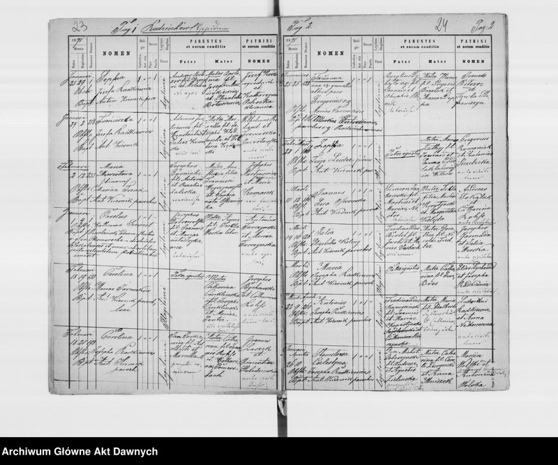 image.from.unit.number "Parafia: Radziechów. Dekanat: Busk. Kopie z ksiąg metrykalnych ur., śl., zg. dla całej parafii (miasto Radziechów i wsie)."