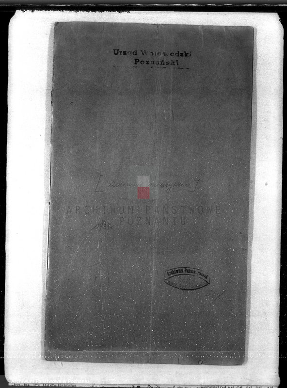 Obraz 4 z jednostki "Zalesienie nieużytków /wykaz/"