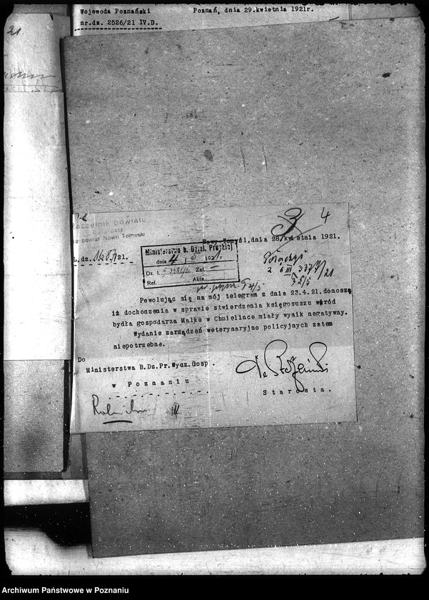 Obraz 8 z jednostki "Księgosusz - Nowy Tomyśl"