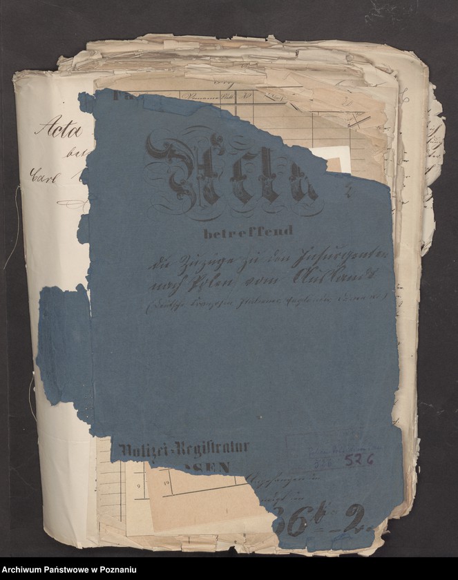 Obraz 2 z jednostki "A. betr. die Zuzüge zu den Insurgenten nach Polen vom Auslande /Deutsche, Franzosen, Italiener, Engländer, Dänen…/"