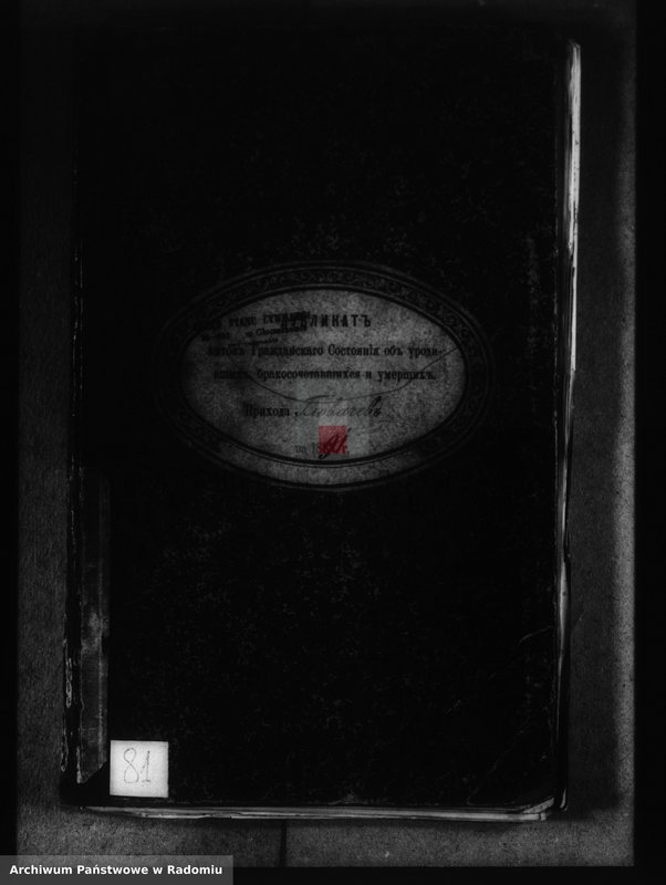 image.from.unit.number "Dublikat aktov graždanskago sostoâniâ ob urodivših, brakosočetavšihsâ i umerših v prihoda Glovačev za 1891 god"