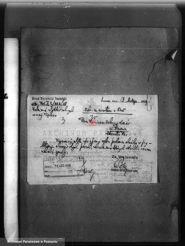 Obraz 7 z jednostki "/Majętność leśna Wąsowo w powiecie nowotomyskim/"