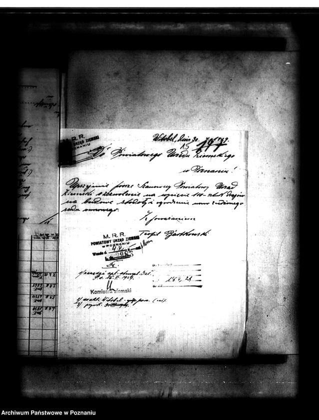 Obraz 20 z jednostki "Parcelacja lasu Witobel 113 powiatu poznańskiego Teofil Bartkowiak"