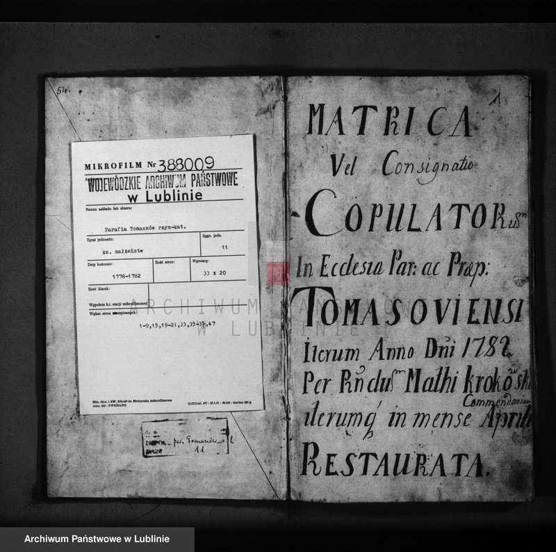 Obraz 3 z jednostki "Metrica copulatorum pro oppido Tomaszów et villis"