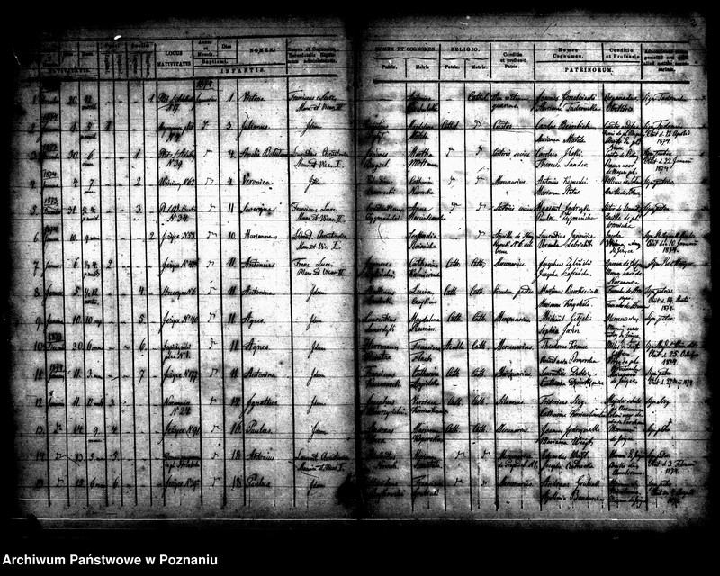 Obraz 5 z jednostki "Księga urodzin"