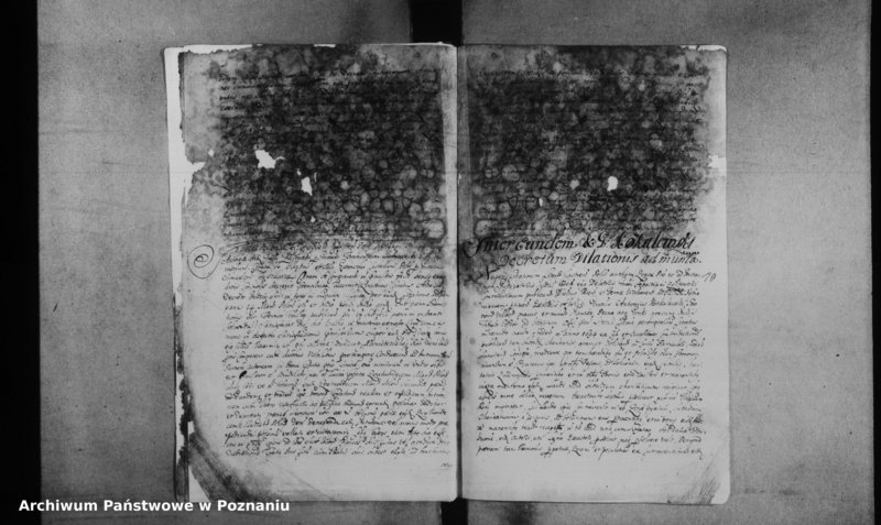 Obraz 14 z jednostki "Decreta officii [inducta]"