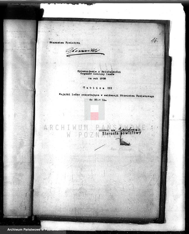 Obraz 20 z jednostki "Sprawozdanie z działalności organów ochrony lasów za 1930"