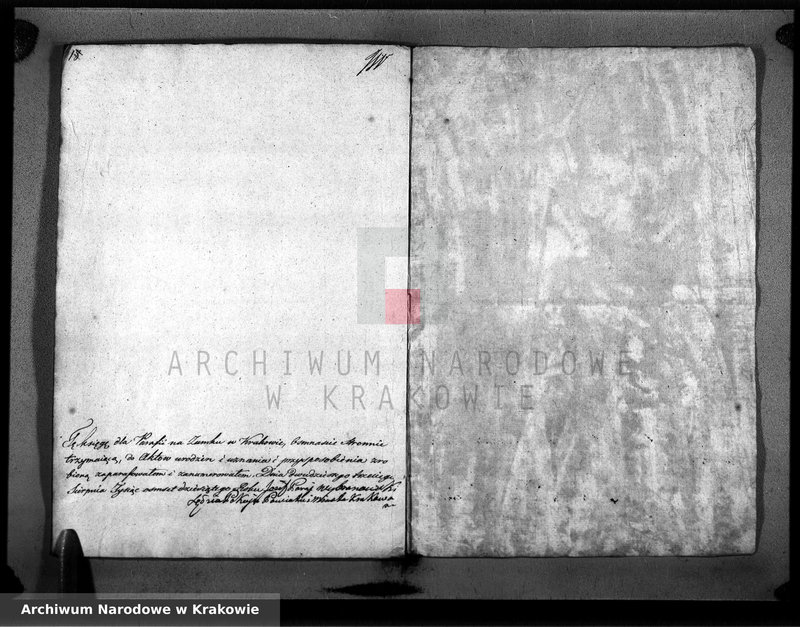 Obraz z jednostki "Akty Urodzenia w Roku 1810 tym Parafyi na Zamku w Krakowie Parafia Zamkowa"