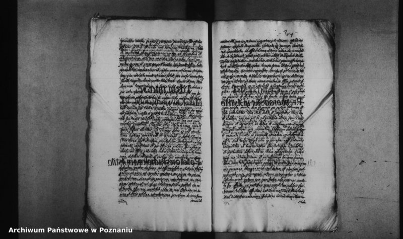 Obraz 17 z jednostki "Decreta officii [inducta]"