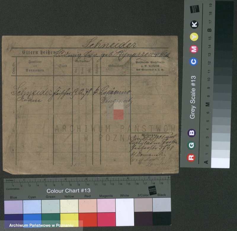 Obraz 5 z jednostki "Sznajder (samotni mężczyźni i kobiety)"