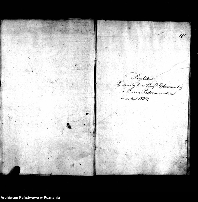 image.from.unit.number "Duplikat urodzonych, zmarłych, zaślubionych"