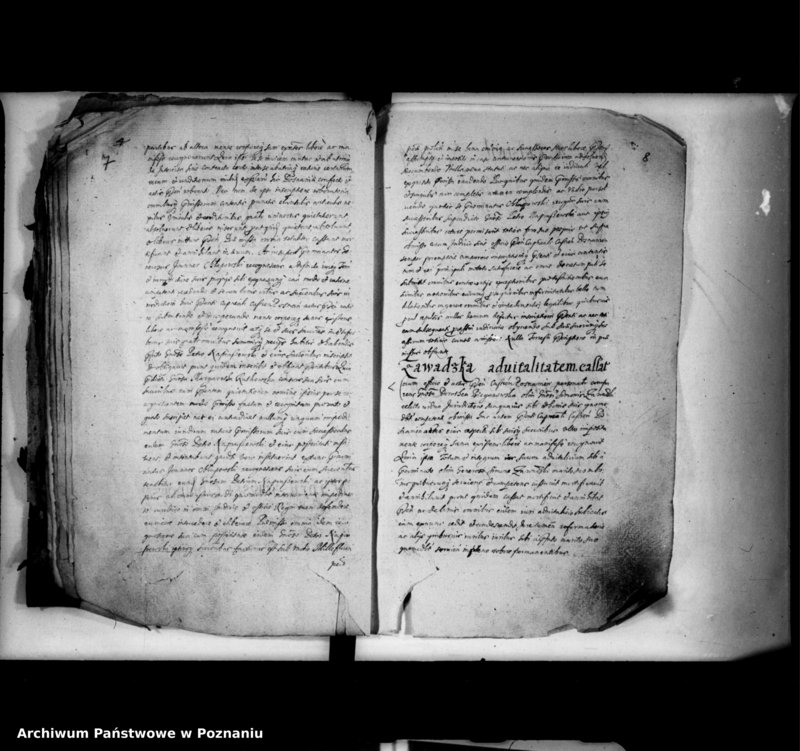 Obraz 7 z jednostki "Inscriptiones [inducta]"