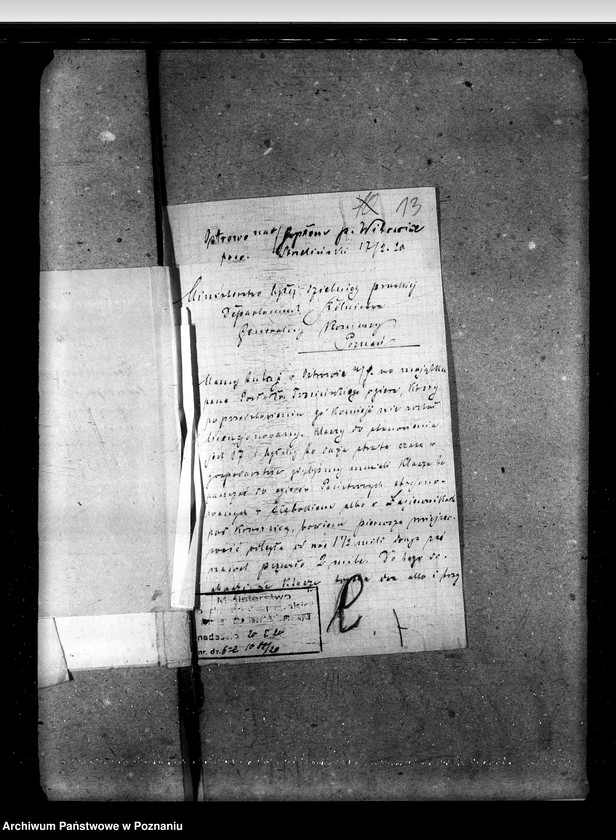 image.from.unit.number "Sprawy stadnin ogiery nielicencjonowane"