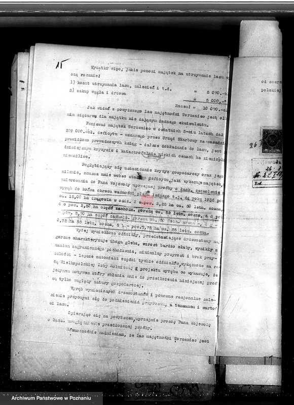 Obraz 19 z jednostki "Nadzór nad gospodarką w lasach majętności Torzeniec powiat kępiński"