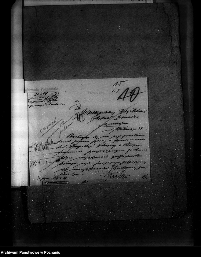 Obraz 19 z jednostki "Majętność leśna Ruchocice powiat wolsztyński"