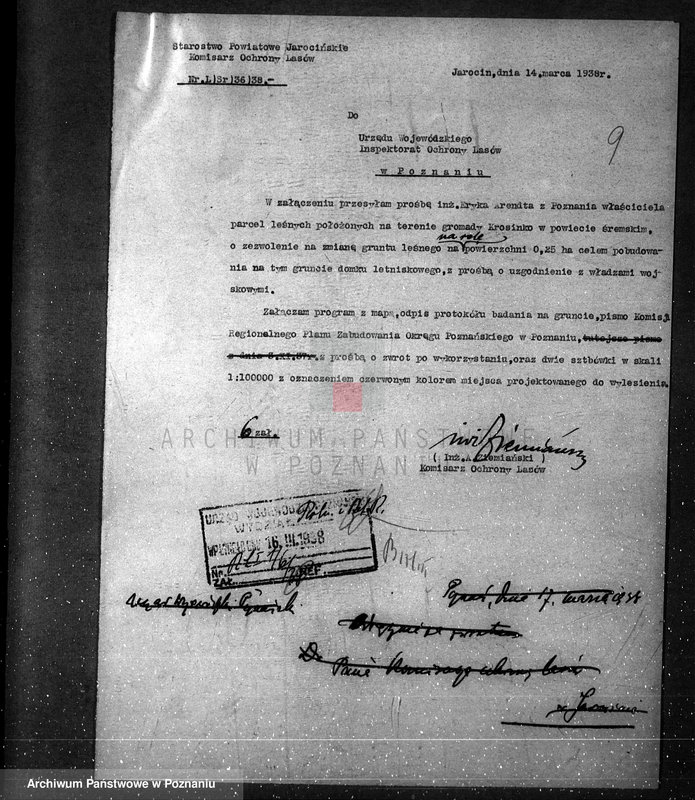 Obraz 13 z jednostki "/Zalesienie gruntów ornych/"