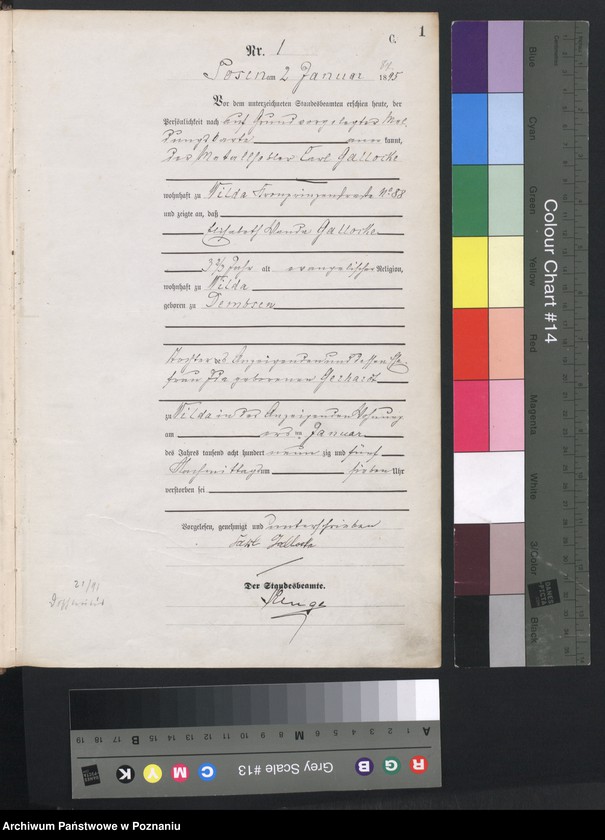 Obraz 3 z jednostki "Księga zgonów"