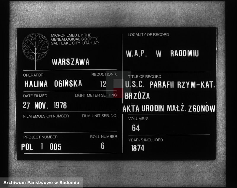 Obraz 1 z jednostki "Dublikat aktov graždanskogo sostoâniâ ob uroždennyh, brakosočetavšihsâ i umeršyh Bržuzkago prihoda za 1874 god"