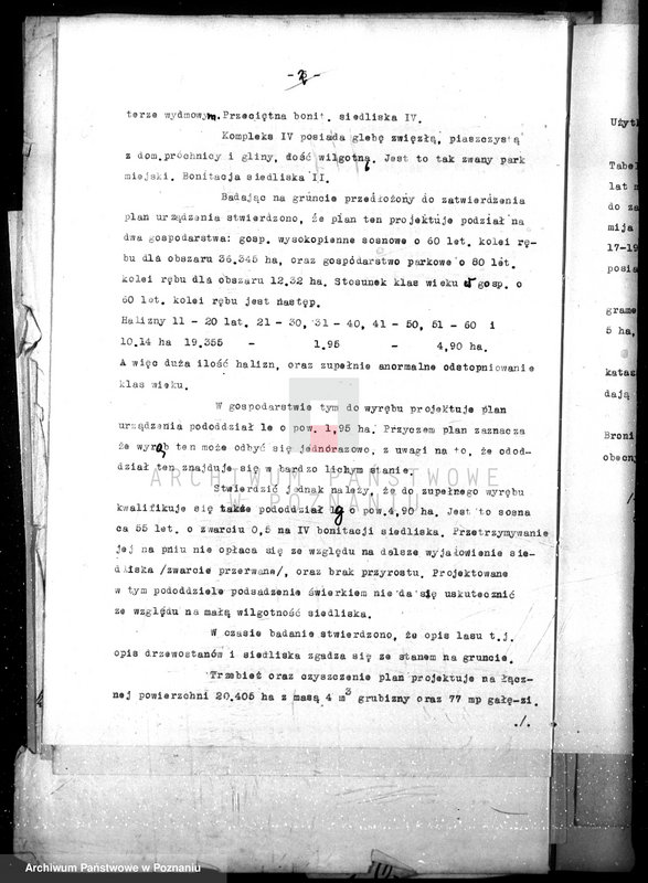 Obraz 20 z jednostki "Magistrat miasta Czarnkowa /nadzór nad gospodarką leśną/"