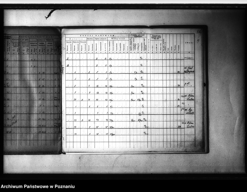 Obraz 9 z jednostki "/Zestawienie /wykaz/ rozdysponowania ziemi na cele parcelacyjne powiatu gostyńskiego"