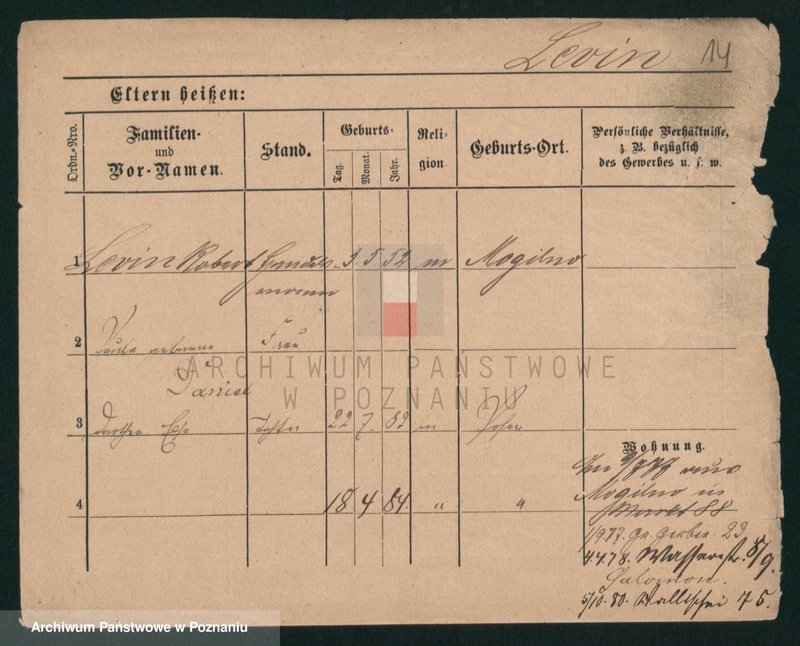 Obraz 14 z jednostki "Lewiecki - Lewulski"