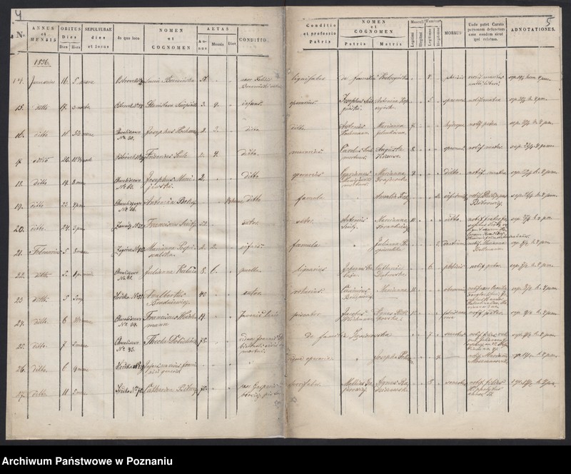 Obraz 5 z jednostki "Księga zgonów"