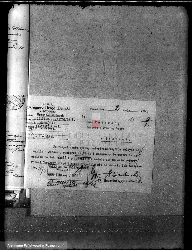 Obraz 19 z jednostki "Majętność leśna Jeżewo w powiecie gostyńskim"