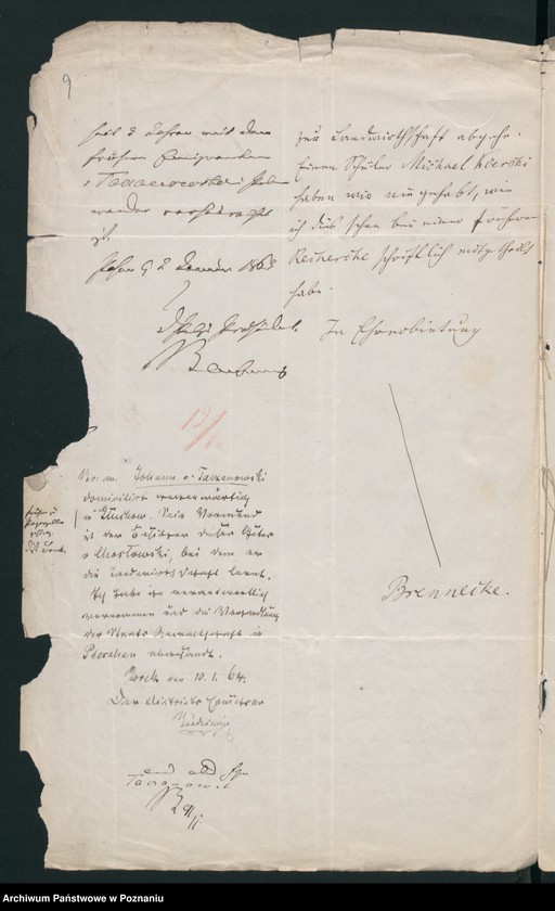 Obraz 12 z jednostki "A. betr. den Johann Taczanowski, Gutsbesitzer - Sohn"