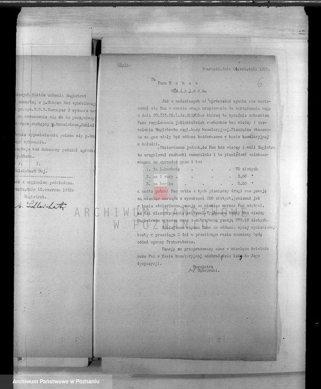 Obraz 9 z jednostki "Urzędnicy Komunalni miasta Swarzędza"